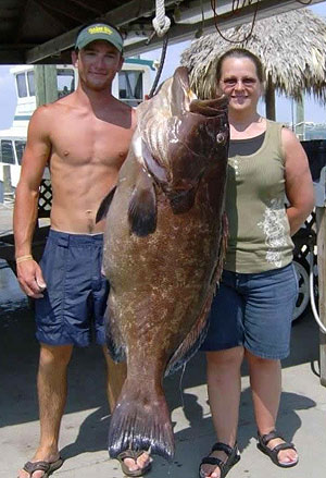 State Record Back Grouper